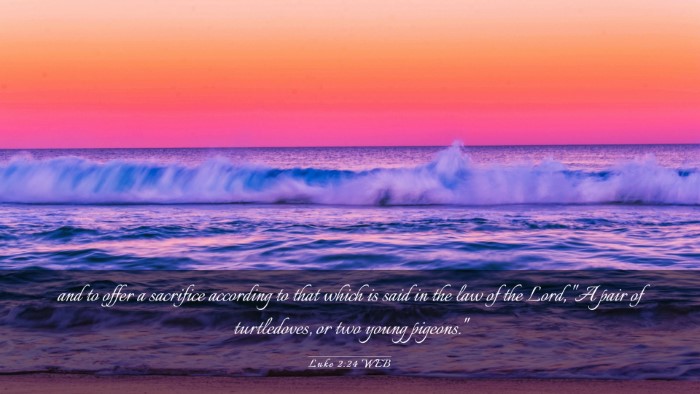 Picture 03 - Luke 2:24 WEB Desktop Wallpaper - and to offer a sacrifice according to that which - Desktop Bible Verse Wallpaper