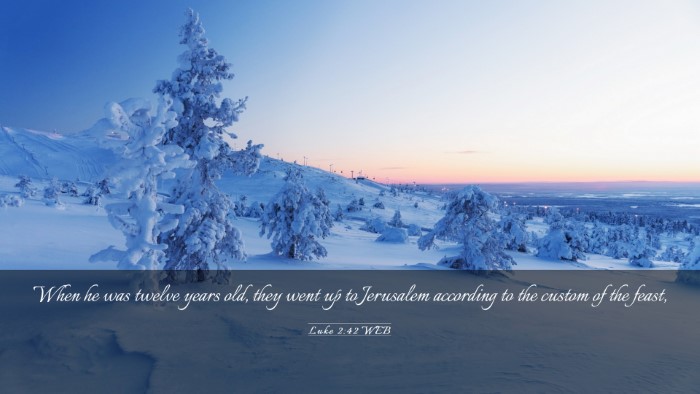 Picture 03 - Luke 2:42 WEB Desktop Wallpaper - When he was twelve years old, they went up to - Desktop Bible Verse Wallpaper