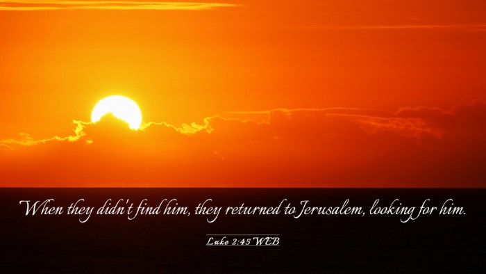 Picture 03 - Luke 2:45 WEB Desktop Wallpaper - When they didn't find him, they returned to - Desktop Bible Verse Wallpaper