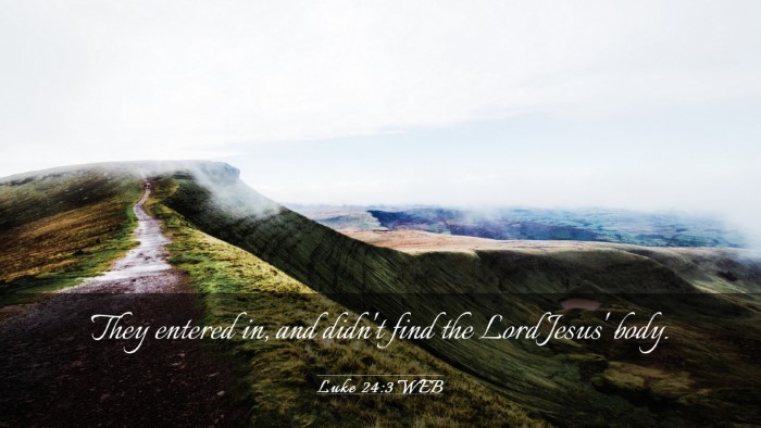 Picture 03 - Luke 24:3 WEB Desktop Wallpaper - They entered in, and didn't find the Lord Jesus' - Desktop Bible Verse Wallpaper