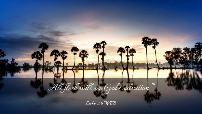 Picture 03 - Luke 3:6 WEB Desktop Wallpaper - All flesh will see God's - Desktop Bible Verse Wallpaper