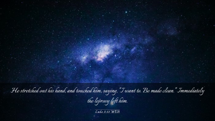 Picture 03 - Luke 5:13 WEB Desktop Wallpaper - He stretched out his hand, and touched him, - Desktop Bible Verse Wallpaper