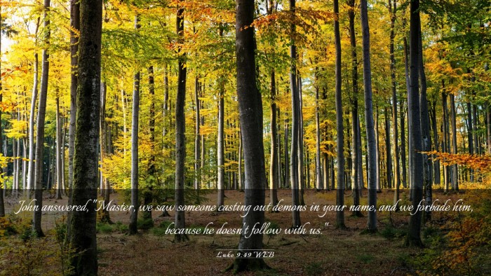 Picture 03 - Luke 9:49 WEB Desktop Wallpaper - John answered, 