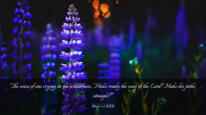 Picture 03 - Mark 1:3 WEB Desktop Wallpaper - The voice of one crying in the wilderness, 'Make - Desktop Bible Verse Wallpaper