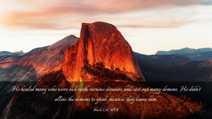 Picture 03 - Mark 1:34 WEB Desktop Wallpaper - He healed many who were sick with various - Desktop Bible Verse Wallpaper