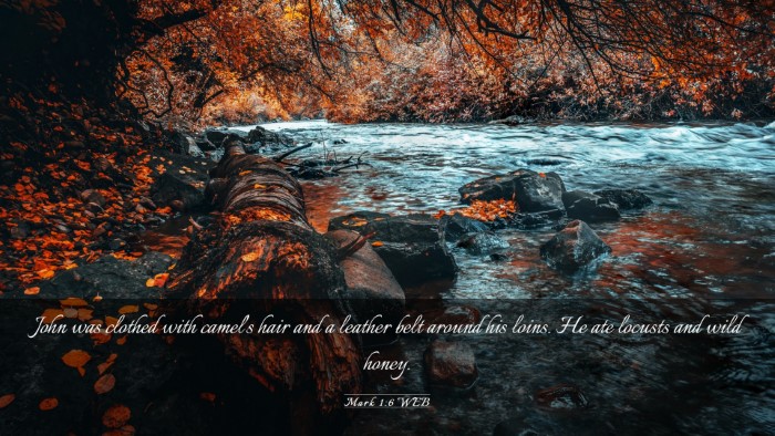 Picture 03 - Mark 1:6 WEB Desktop Wallpaper - John was clothed with camel's hair and a leather - Desktop Bible Verse Wallpaper