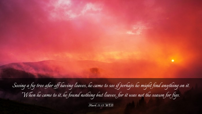 Picture 03 - Mark 11:13 WEB Desktop Wallpaper - Seeing a fig tree afar off having leaves, he came - Desktop Bible Verse Wallpaper