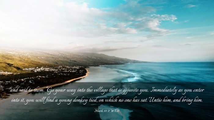 Picture 03 - Mark 11:2 WEB Desktop Wallpaper - and said to them, 