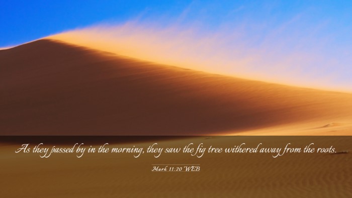 Picture 03 - Mark 11:20 WEB Desktop Wallpaper - As they passed by in the morning, they saw the - Desktop Bible Verse Wallpaper