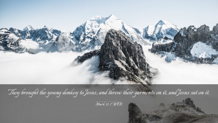 Picture 03 - Mark 11:7 WEB Desktop Wallpaper - They brought the young donkey to Jesus, and threw - Desktop Bible Verse Wallpaper