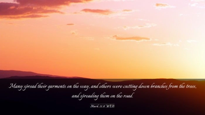 Picture 03 - Mark 11:8 WEB Desktop Wallpaper - Many spread their garments on the way, and others - Desktop Bible Verse Wallpaper
