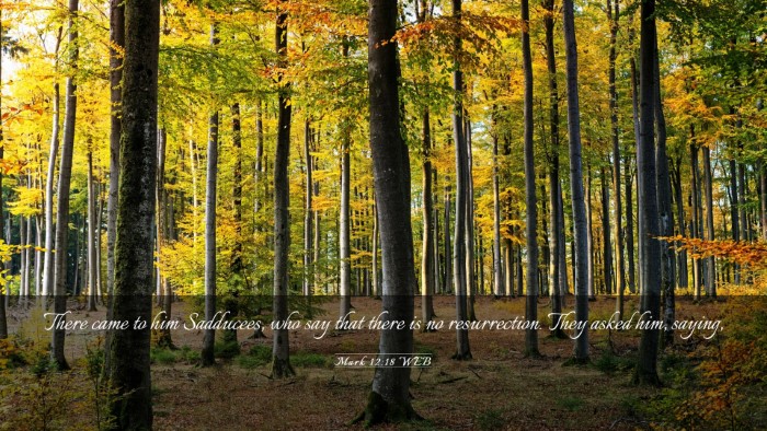 Picture 03 - Mark 12:18 WEB Desktop Wallpaper - There came to him Sadducees, who say that there - Desktop Bible Verse Wallpaper