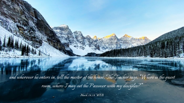 Picture 03 - Mark 14:14 WEB Desktop Wallpaper - and wherever he enters in, tell the master of the - Desktop Bible Verse Wallpaper