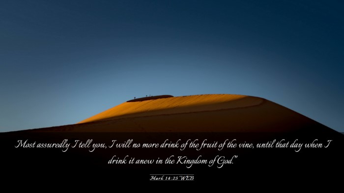 Picture 03 - Mark 14:25 WEB Desktop Wallpaper - Most assuredly I tell you, I will no more drink - Desktop Bible Verse Wallpaper