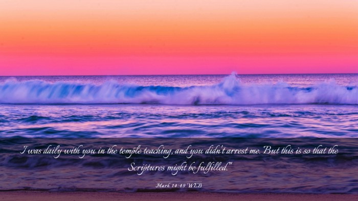 Picture 03 - Mark 14:49 WEB Desktop Wallpaper - I was daily with you in the temple teaching, and - Desktop Bible Verse Wallpaper