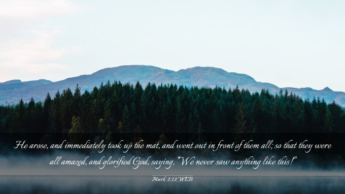 Picture 03 - Mark 2:12 WEB Desktop Wallpaper - He arose, and immediately took up the mat, and - Desktop Bible Verse Wallpaper