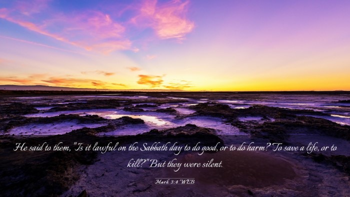 Picture 03 - Mark 3:4 WEB Desktop Wallpaper - He said to them, 