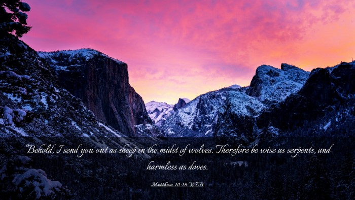 Picture 03 - Matthew 10:16 WEB Desktop Wallpaper - 