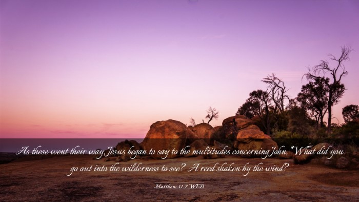 Picture 03 - Matthew 11:7 WEB Desktop Wallpaper - As these went their way, Jesus began to say to - Desktop Bible Verse Wallpaper