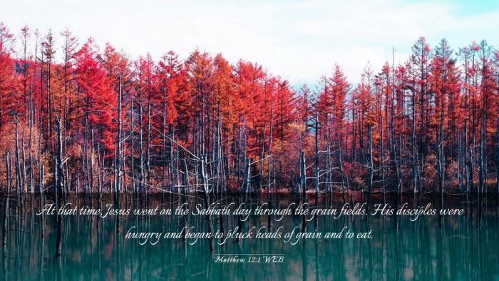 Picture 03 - Matthew 12:1 WEB Desktop Wallpaper - At that time, Jesus went on the Sabbath day - Desktop Bible Verse Wallpaper