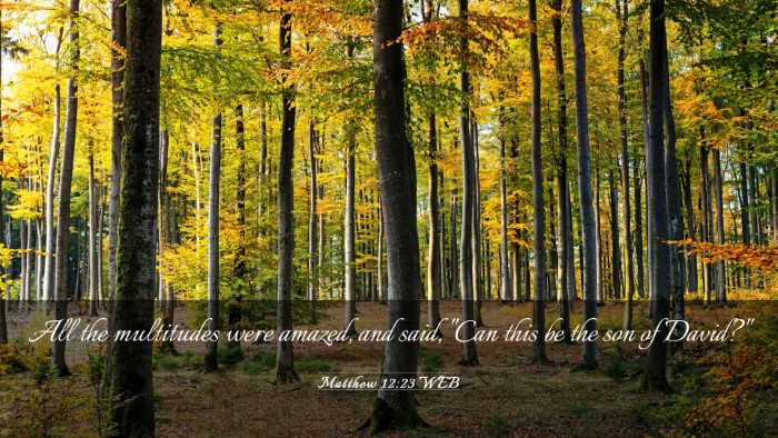 Picture 03 - Matthew 12:23 WEB Desktop Wallpaper - All the multitudes were amazed, and said, 