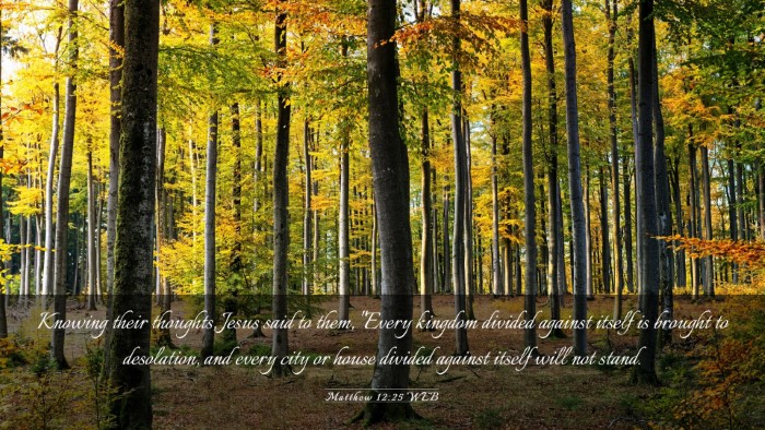 Picture 03 - Matthew 12:25 WEB Desktop Wallpaper - Knowing their thoughts, Jesus said to them, - Desktop Bible Verse Wallpaper
