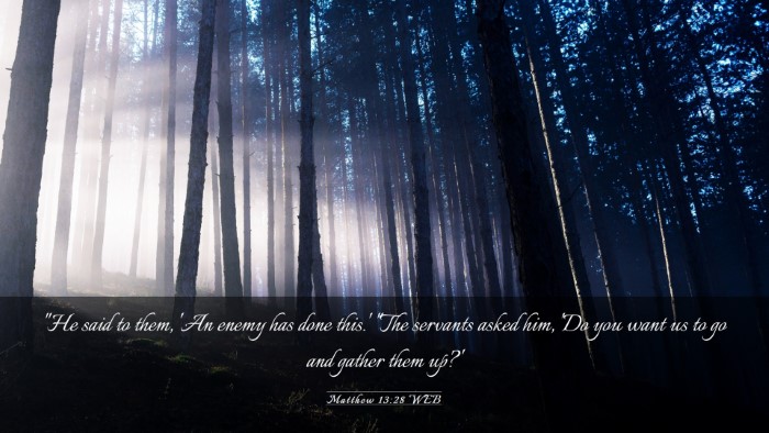 Picture 03 - Matthew 13:28 WEB Desktop Wallpaper - 