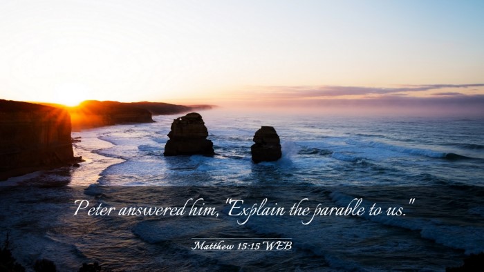 Picture 03 - Matthew 15:15 WEB Desktop Wallpaper - Peter answered him, 