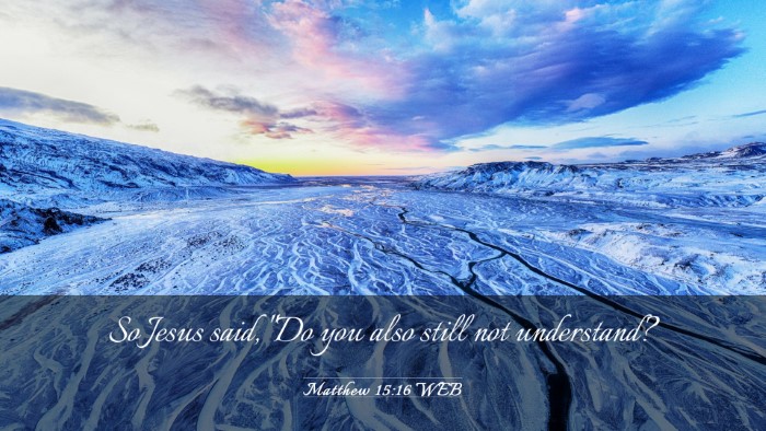 Picture 03 - Matthew 15:16 WEB Desktop Wallpaper - So Jesus said, 