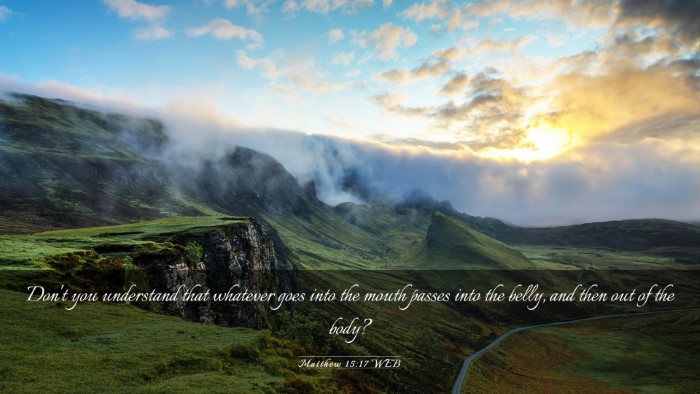 Picture 03 - Matthew 15:17 WEB Desktop Wallpaper - Don't you understand that whatever goes into the - Desktop Bible Verse Wallpaper