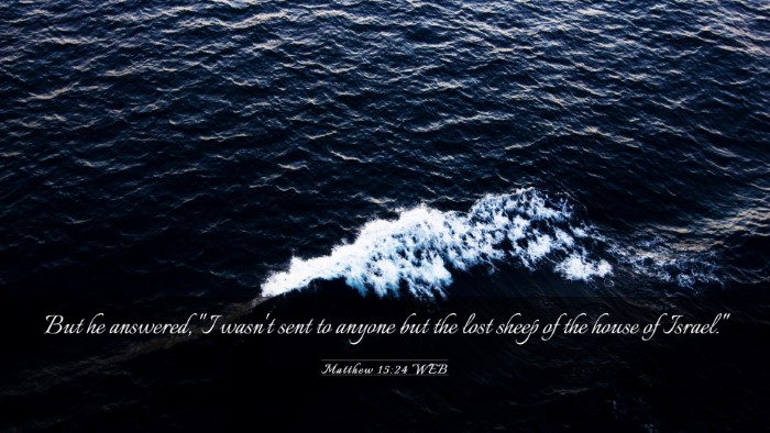 Picture 03 - Matthew 15:24 WEB Desktop Wallpaper - But he answered, 