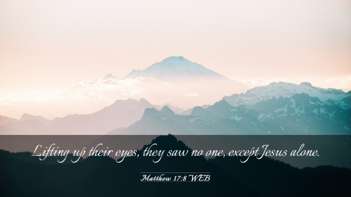 Picture 03 - Matthew 17:8 WEB Desktop Wallpaper - Lifting up their eyes, they saw no one, except - Desktop Bible Verse Wallpaper