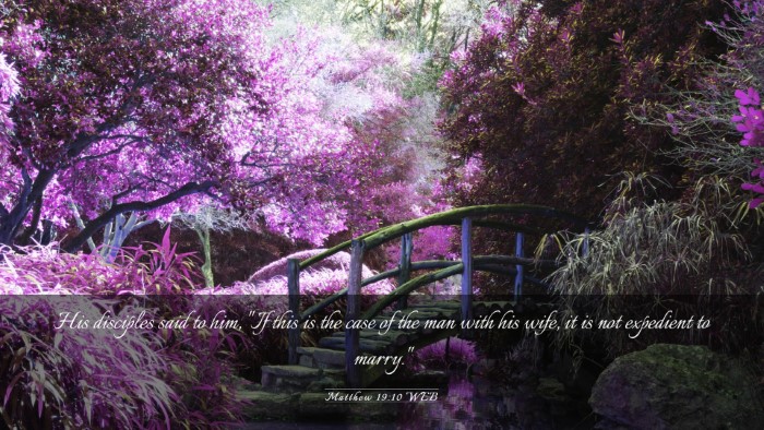 Picture 03 - Matthew 19:10 WEB Desktop Wallpaper - His disciples said to him, 