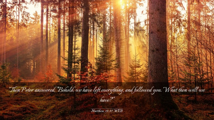 Picture 03 - Matthew 19:27 WEB Desktop Wallpaper - Then Peter answered, 