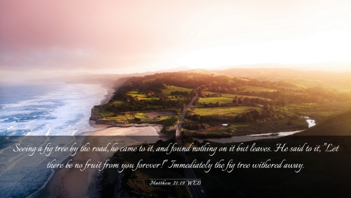 Picture 03 - Matthew 21:19 WEB Desktop Wallpaper - Seeing a fig tree by the road, he came to it, and - Desktop Bible Verse Wallpaper