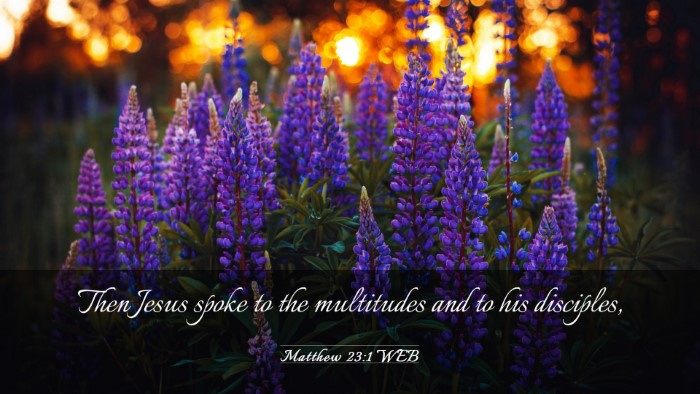 Picture 03 - Matthew 23:1 WEB Desktop Wallpaper - Then Jesus spoke to the multitudes and to his - Desktop Bible Verse Wallpaper