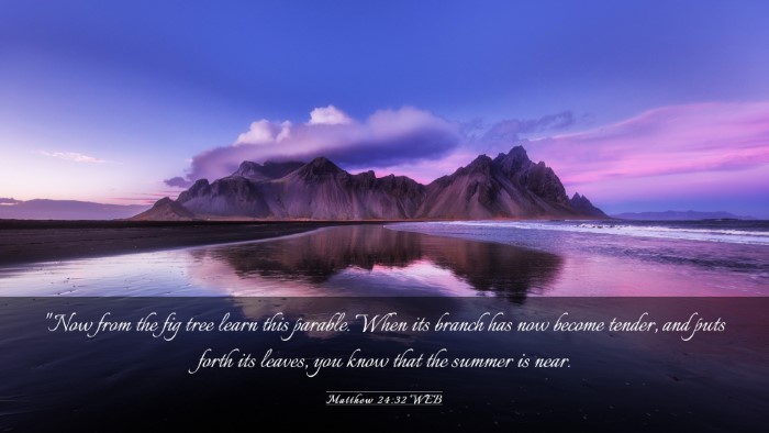 Picture 03 - Matthew 24:32 WEB Desktop Wallpaper - 