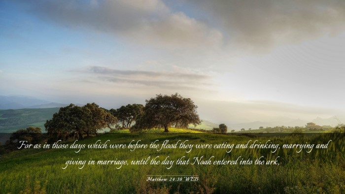 Picture 03 - Matthew 24:38 WEB Desktop Wallpaper - For as in those days which were before the flood - Desktop Bible Verse Wallpaper