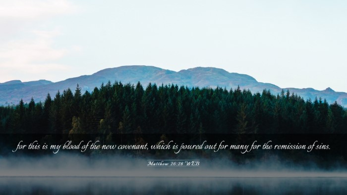 Picture 03 - Matthew 26:28 WEB Desktop Wallpaper - for this is my blood of the new covenant, which - Desktop Bible Verse Wallpaper