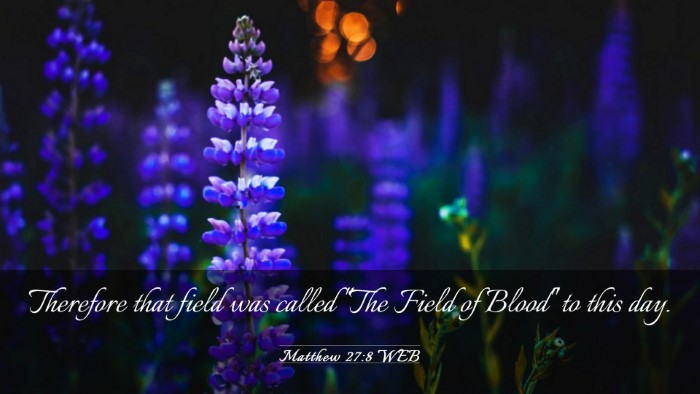 Picture 03 - Matthew 27:8 WEB Desktop Wallpaper - Therefore that field was called 