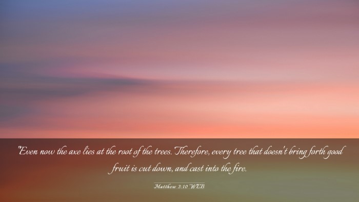 Picture 03 - Matthew 3:10 WEB Desktop Wallpaper - 