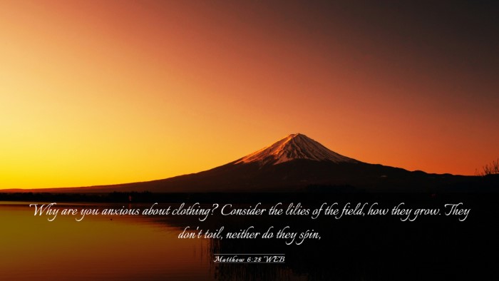 Picture 03 - Matthew 6:28 WEB Desktop Wallpaper - Why are you anxious about clothing? Consider the - Desktop Bible Verse Wallpaper