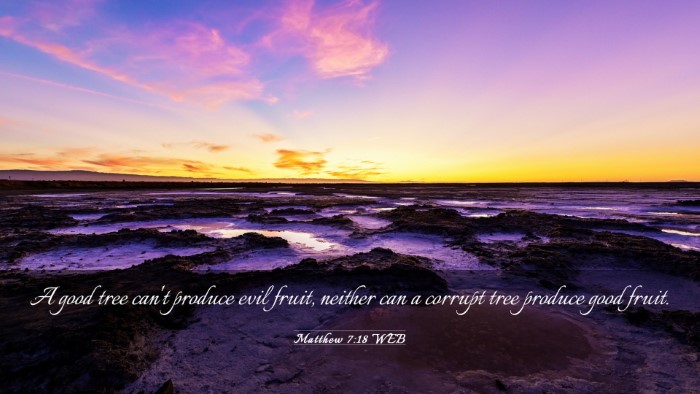 Picture 03 - Matthew 7:18 WEB Desktop Wallpaper - A good tree can't produce evil fruit, neither can - Desktop Bible Verse Wallpaper