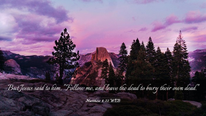 Picture 03 - Matthew 8:22 WEB Desktop Wallpaper - But Jesus said to him, 