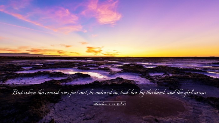 Picture 03 - Matthew 9:25 WEB Desktop Wallpaper - But when the crowd was put out, he entered in, - Desktop Bible Verse Wallpaper