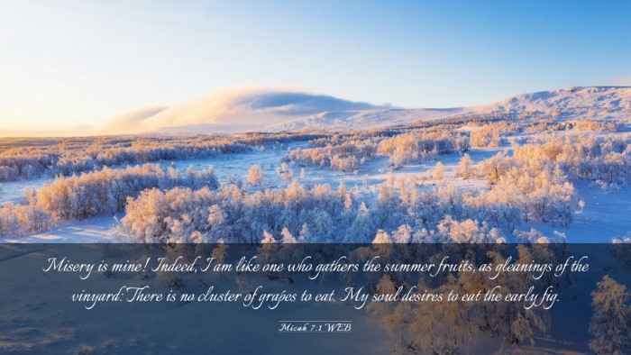 Picture 03 - Micah 7:1 WEB Desktop Wallpaper - Misery is mine! Indeed, I am like one who gathers - Desktop Bible Verse Wallpaper