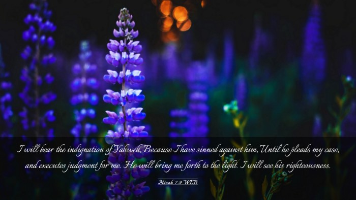 Picture 03 - Micah 7:9 WEB Desktop Wallpaper - I will bear the indignation of Yahweh, Because I - Desktop Bible Verse Wallpaper