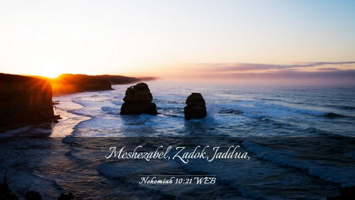 Picture 03 - Nehemiah 10:21 WEB Desktop Wallpaper - Meshezabel, Zadok, - Desktop Bible Verse Wallpaper