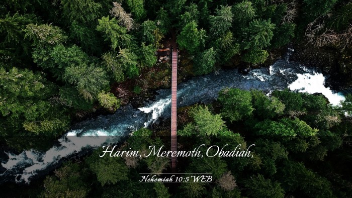 Picture 03 - Nehemiah 10:5 WEB Desktop Wallpaper - Harim, Meremoth, - Desktop Bible Verse Wallpaper