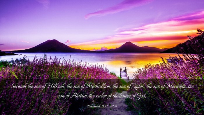 Picture 03 - Nehemiah 11:11 WEB Desktop Wallpaper - Seraiah the son of Hilkiah, the son of Meshullam, - Desktop Bible Verse Wallpaper